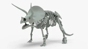 Triceratops Skeleton 3D Model