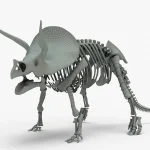 Triceratops Rigged Skeleton(16)