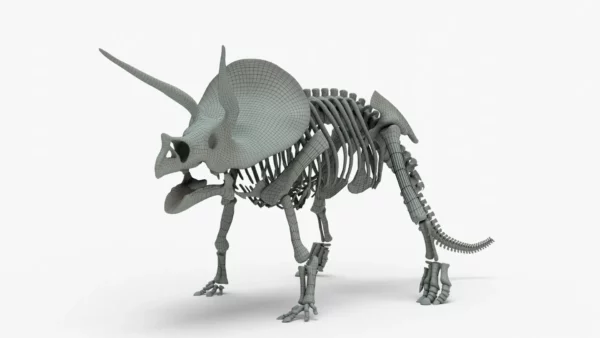 Triceratops 3D Model Rigged Basemesh Skeleton 3D Model Creature Guard 18