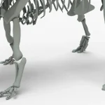 Triceratops Rigged Skeleton(2)