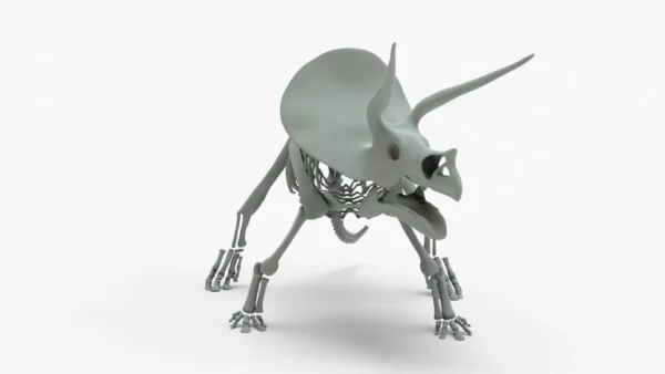 Triceratops Rigged Skeleton 3D Model 3D Model Creature Guard 15