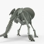 Triceratops Rigged Skeleton(22)