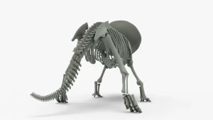 Triceratops Skeleton 3D Model