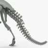 Triceratops Rigged Skeleton 3D Model 3D Model Creature Guard 34