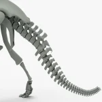 Triceratops Rigged Skeleton(3)