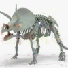 Triceratops Rigged Skeleton 3D Model 3D Model Creature Guard 33