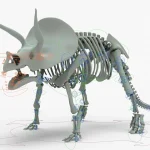 Triceratops Rigged Skeleton(5)