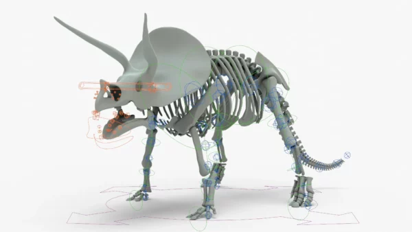 Triceratops Rigged Skeleton 3D Model 3D Model Creature Guard 8