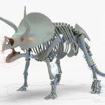 Triceratops Rigged Skeleton(6)