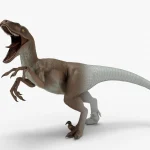 realistic velociraptor 3d model(12)