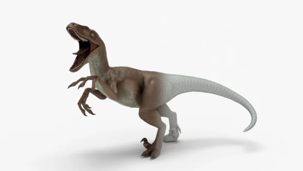 Realistic Velociraptor Rigged 3D Model 3D Model Creature Guard 3