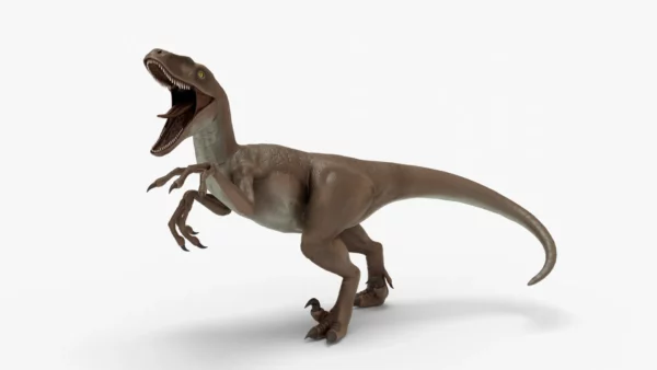 Realistic Velociraptor Rigged 3D Model 3D Model Creature Guard 4
