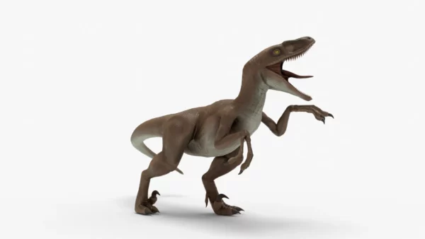 Realistic Velociraptor Rigged 3D Model 3D Model Creature Guard 5