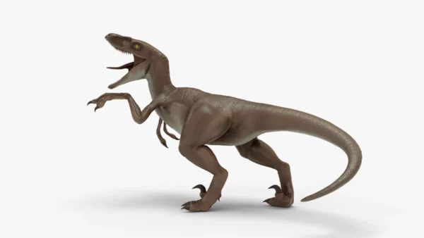 Realistic Velociraptor Rigged 3D Model 3D Model Creature Guard 6