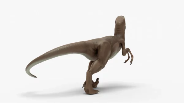 Realistic Velociraptor Rigged 3D Model 3D Model Creature Guard 7