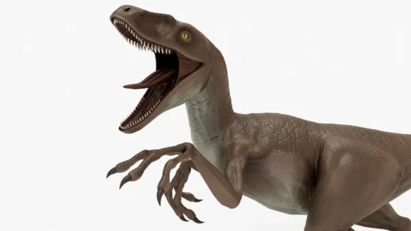 Realistic Velociraptor Rigged 3D Model 3D Model Creature Guard 8