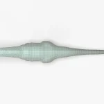 Argentinosaurus 3d model
