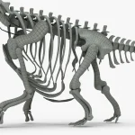 Argentinosaurus Skeleton 3D Model