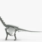 Argentinosaurus Skeleton 3D Model