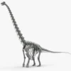 Argentinosaurus Skeleton 3D Model