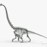 Argentinosaurus Skeleton 3D Model