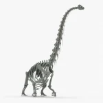 Argentinosaurus Skeleton 3D Model