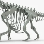 Argentinosaurus Skeleton 3D Model