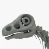 Argentinosaurus Skeleton 3D Model