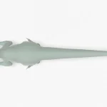 Atrociraptor 3d model