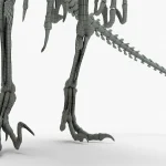 Atrociraptor Skeleton 3D Model