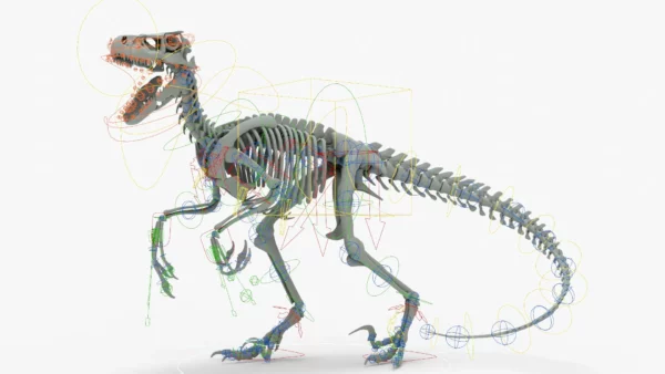 Atrociraptor Rigged Skeleton 3D Model 3D Model Creature Guard 19