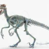 Atrociraptor Rigged Skeleton 3D Model 3D Model Creature Guard 42