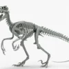 Atrociraptor Rigged Skeleton 3D Model 3D Model Creature Guard 25