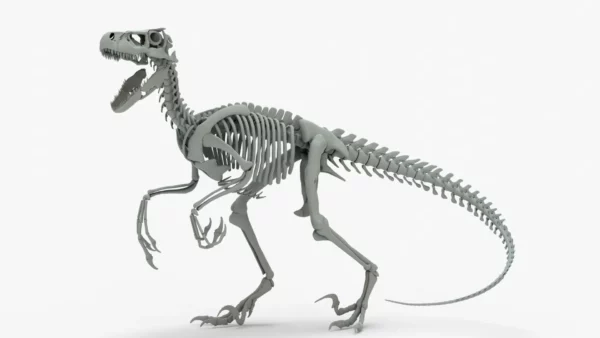 Atrociraptor 3D Model Rigged Basemesh Skeleton 3D Model Creature Guard 14