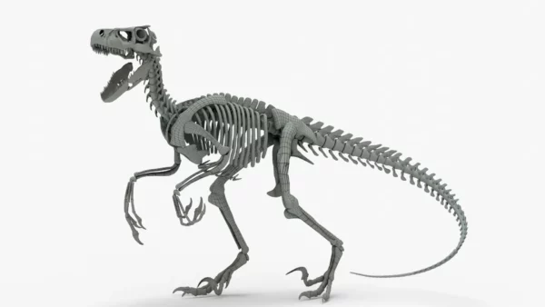 Atrociraptor 3D Model Rigged Basemesh Skeleton 3D Model Creature Guard 13