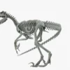 Atrociraptor Rigged Skeleton 3D Model 3D Model Creature Guard 27