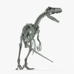 Atrociraptor Skeleton 3D Model