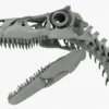 Atrociraptor Skeleton 3D Model