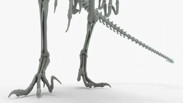 Atrociraptor 3D Model Rigged Basemesh Skeleton 3D Model Creature Guard 16
