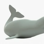 Beluga whale 3d model