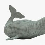 Beluga whale 3d model
