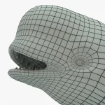 Beluga whale 3d model