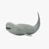 Beluga Whale 3D Model Rigged Basemesh