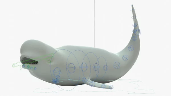 Beluga Whale 3D Model Rigged Basemesh 3D Model Creature Guard 21