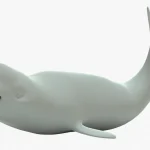 Beluga whale 3d model