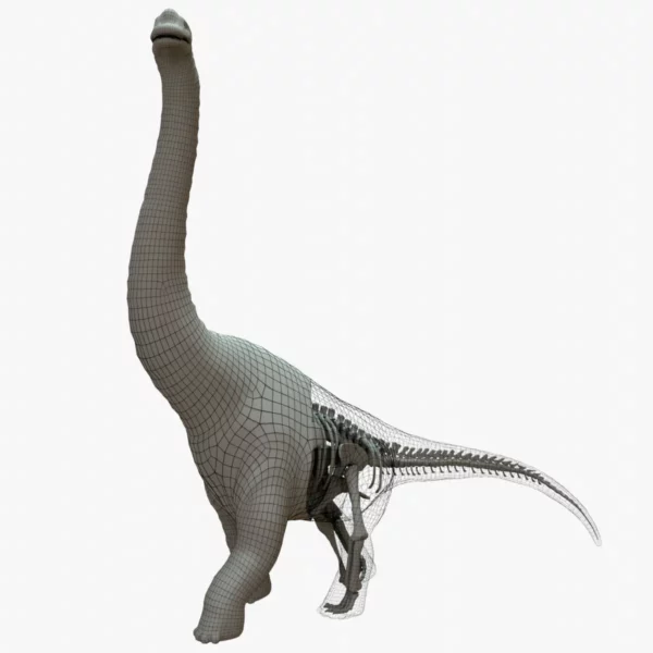 Brachiosaurus 3D Model Rigged Basemesh Skeleton
