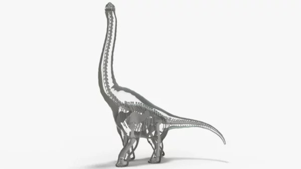 Brachiosaurus 3D Model Rigged Basemesh Skeleton 3D Model Creature Guard 5