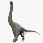 Brachiosaurus 3d model