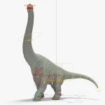 Brachiosaurus 3d model