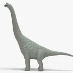 Brachiosaurus 3d model